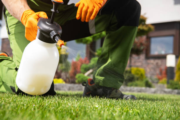 Wildlife Control Services in Dale, PA