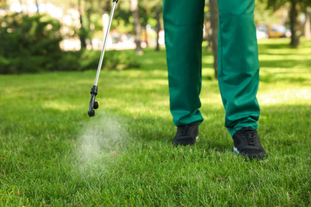 Wasp Removal Services in Dale, PA