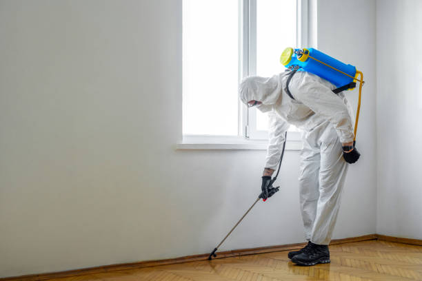 Best Flea Control Services  in Dale, PA