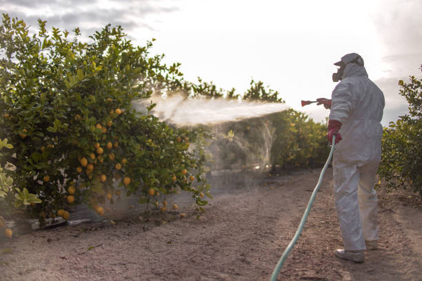 Best Pest Control Near Me  in Dale, PA