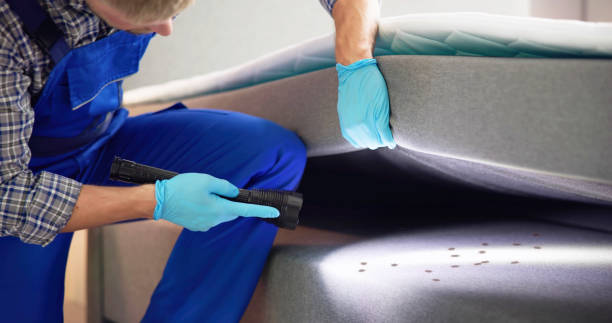 Best Exterminator Services  in Dale, PA