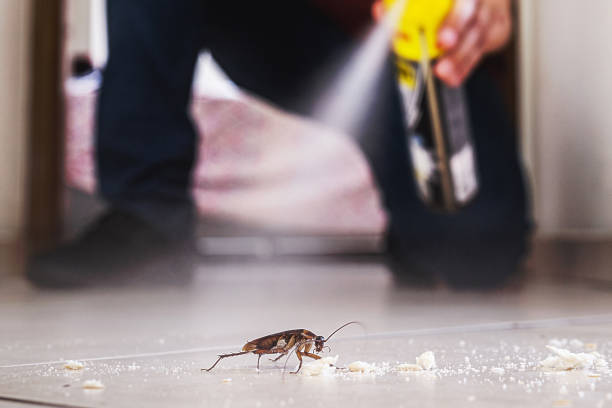 Best Wasp Removal Services  in Dale, PA