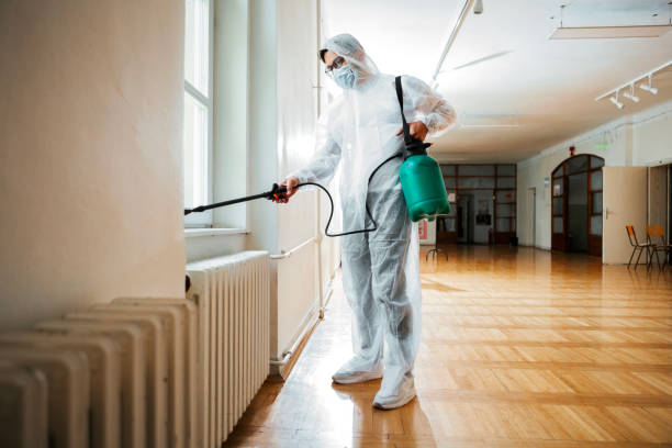 Best Best Pest Control Companies  in Dale, PA