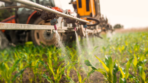 Best Ant Control Services  in Dale, PA